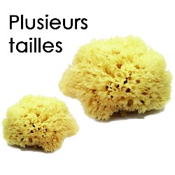 Éponge de mer naturelle