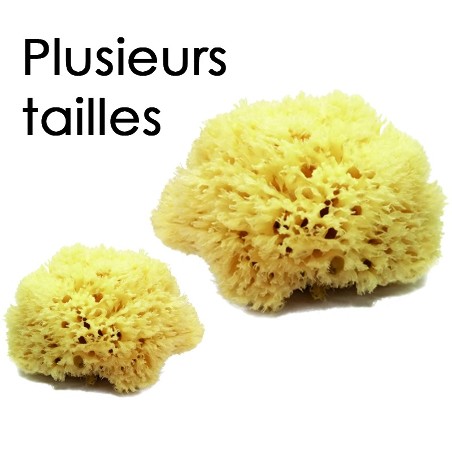 Éponge de mer naturelle
